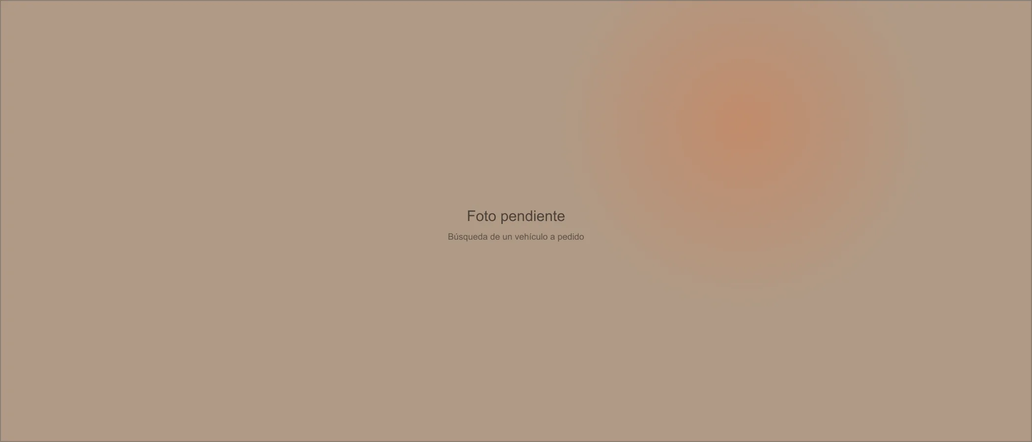 Búsqueda de un vehículo específico a pedido del cliente